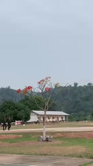 TikTok video thumbnail by mee5516