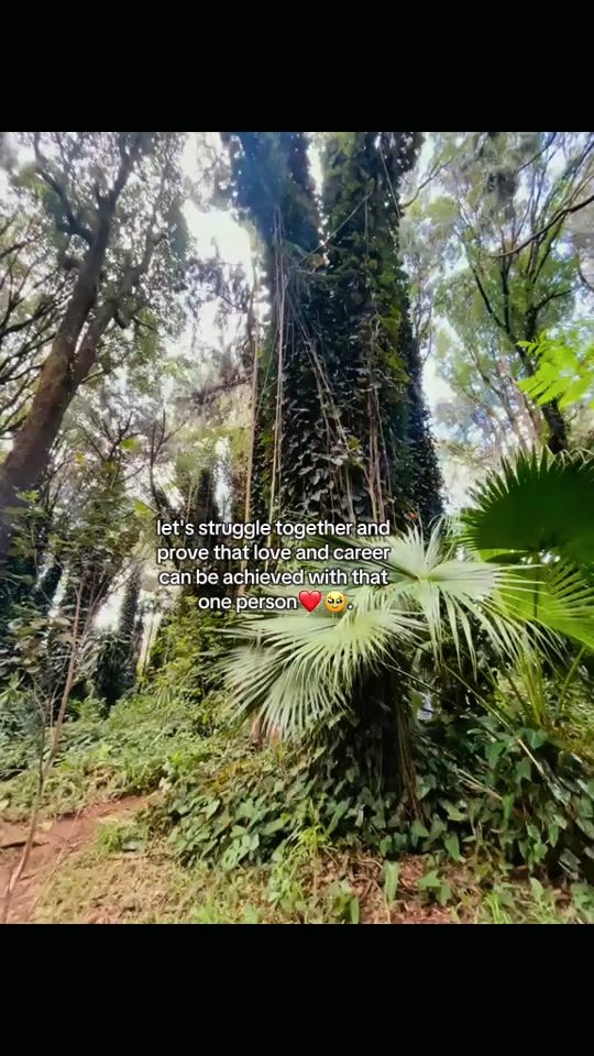 TikTok video thumbnail by saadz._.quote.h