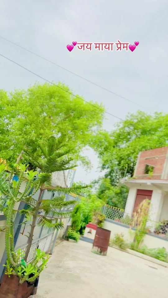 TikTok video thumbnail by rajshrestha029