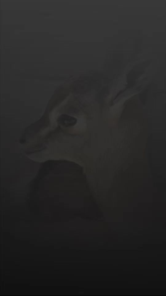 TikTok video thumbnail by isolation.4