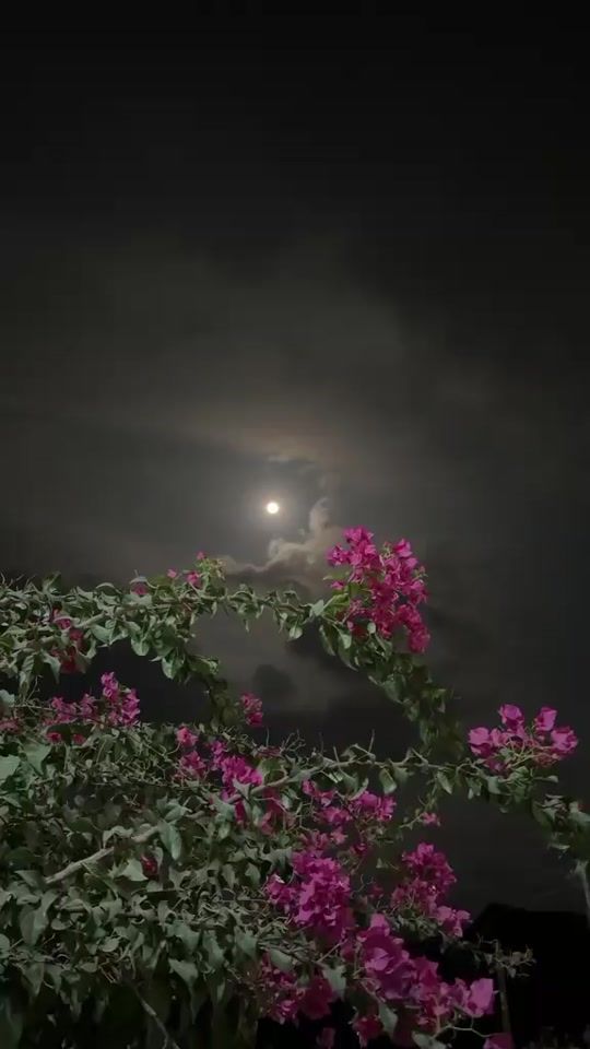 TikTok video thumbnail by a___mu_8