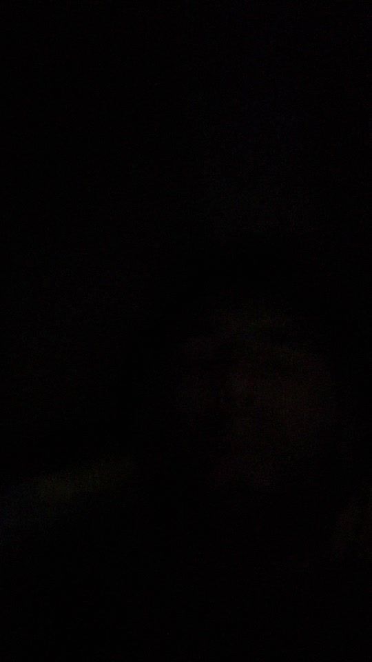TikTok video thumbnail by pdk666