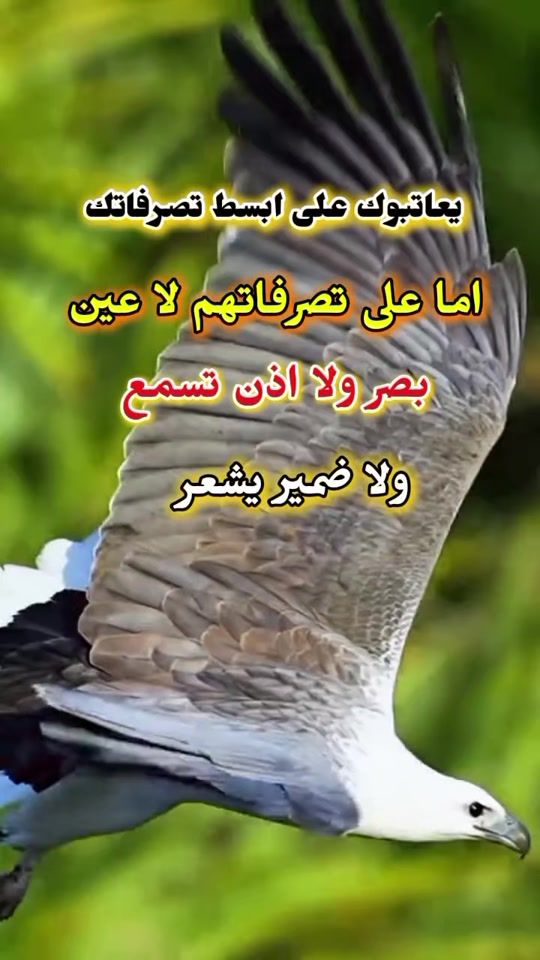TikTok video thumbnail by the.store039