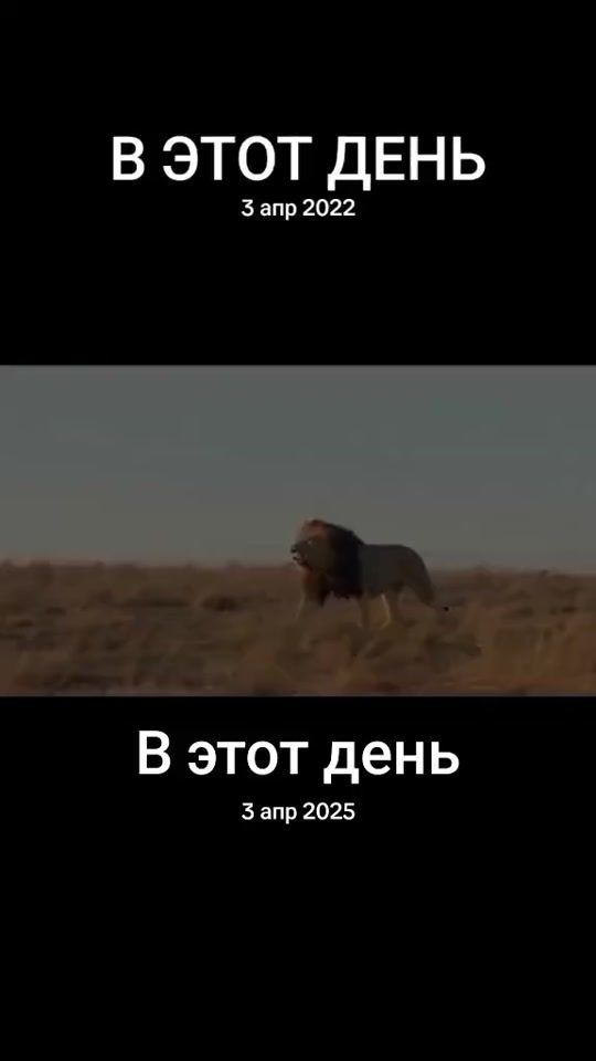 TikTok video thumbnail by fedir_1993_32