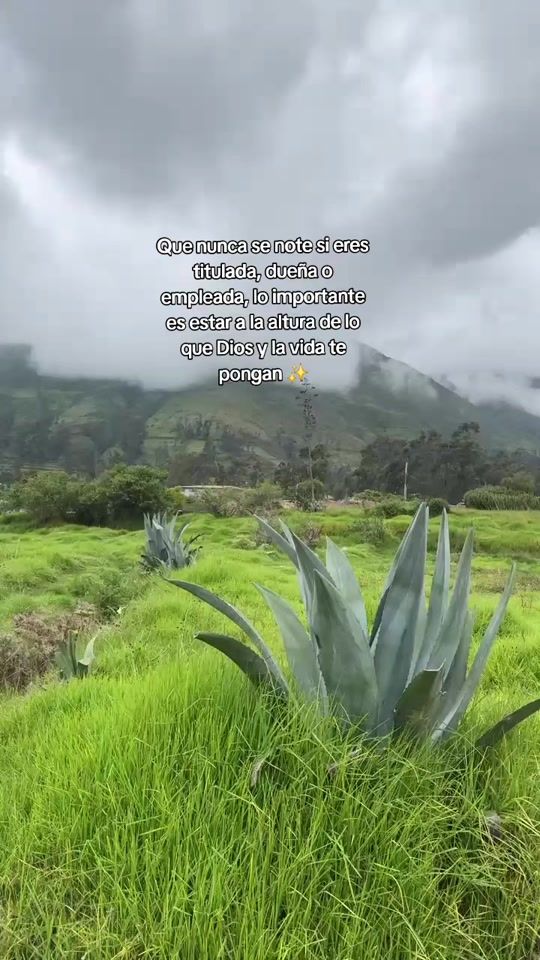 TikTok video thumbnail by isaaa.ce1