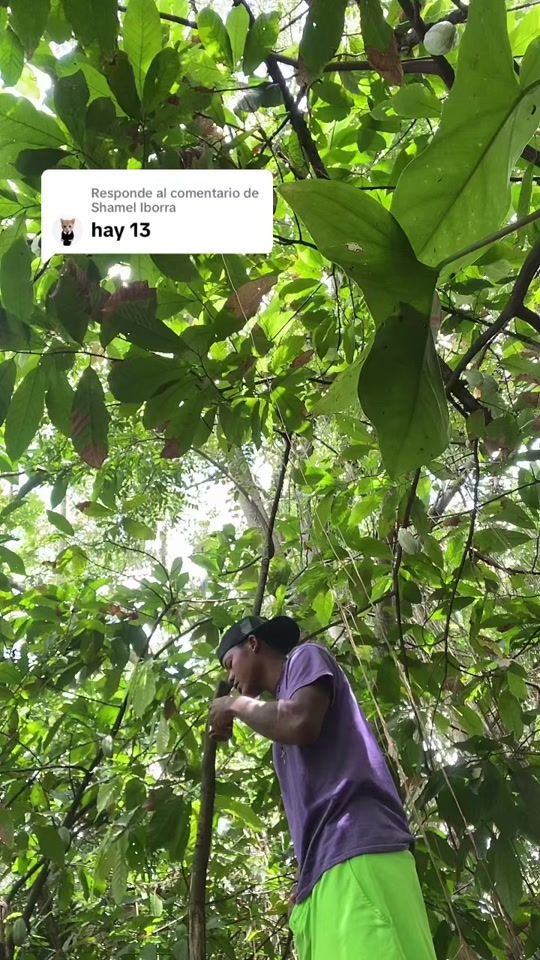 TikTok video thumbnail by efb195