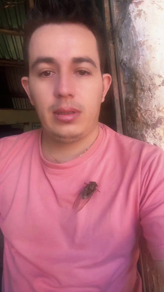 TikTok video thumbnail by rodriguezpaz.7