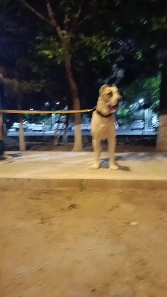 TikTok video thumbnail by hickiminki94