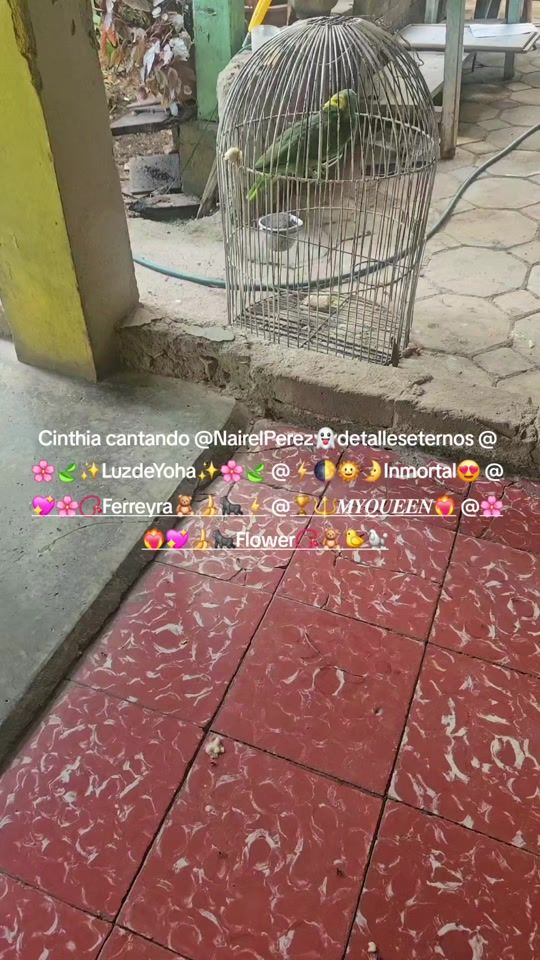 TikTok video thumbnail by ellansuarez