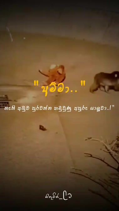 TikTok video thumbnail by sithu_page_002