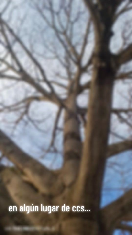 TikTok video thumbnail by carlit06467
