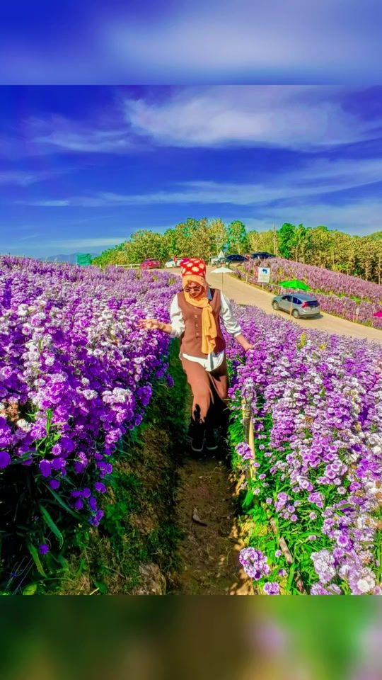 TikTok video thumbnail by lem907