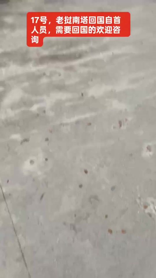 TikTok video thumbnail by www.123.comh