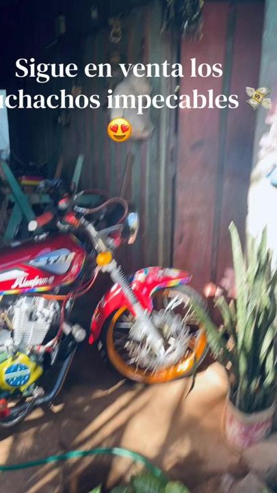 TikTok video thumbnail by xs_alex_16