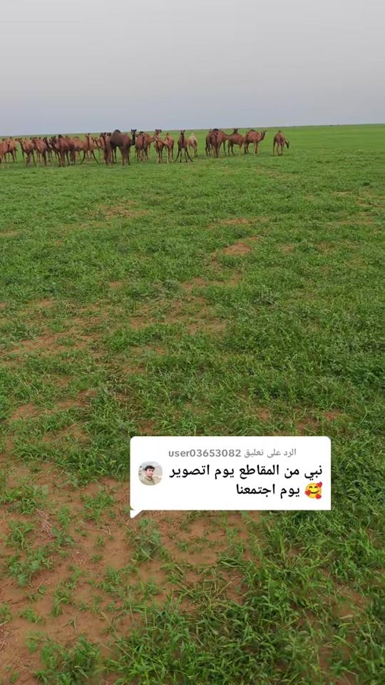TikTok video thumbnail by b_jld1