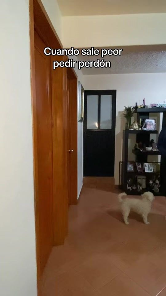 TikTok video thumbnail by monsemedran0