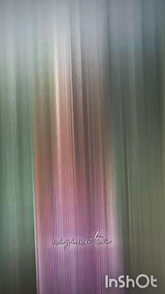 TikTok video thumbnail by nisinatea