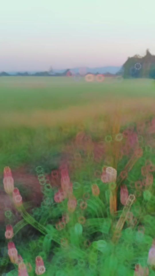 TikTok video thumbnail by iam.flower789