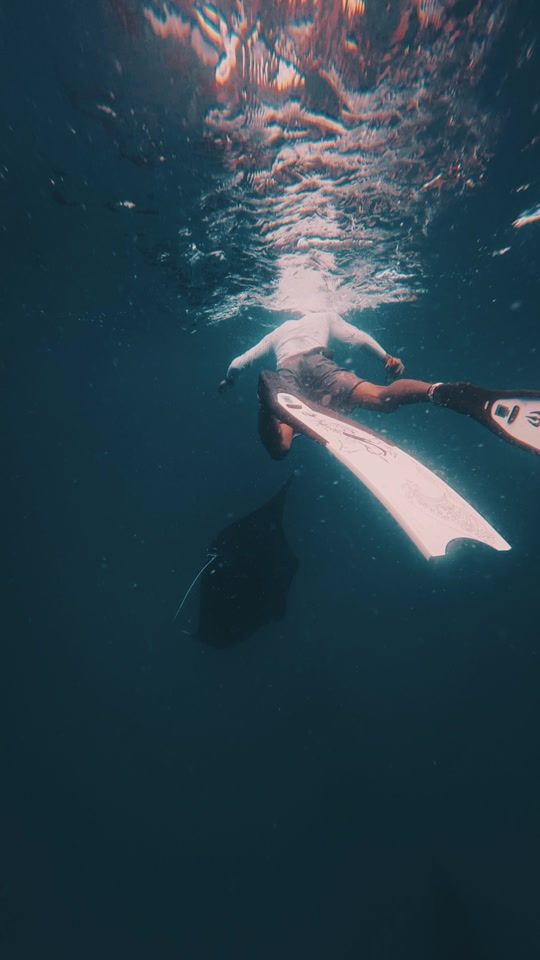 TikTok video thumbnail by _chipmunk_.aza4n._