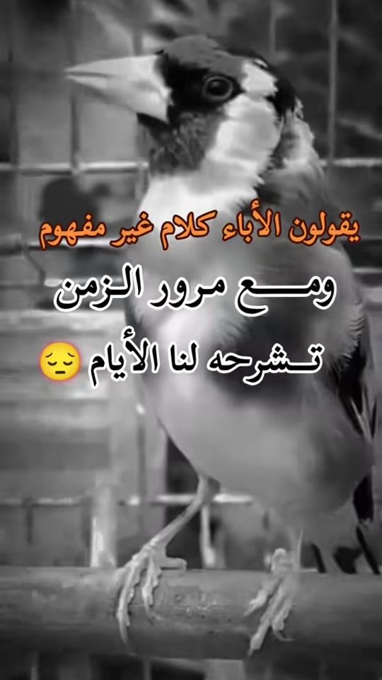 TikTok video thumbnail by hamza27.44