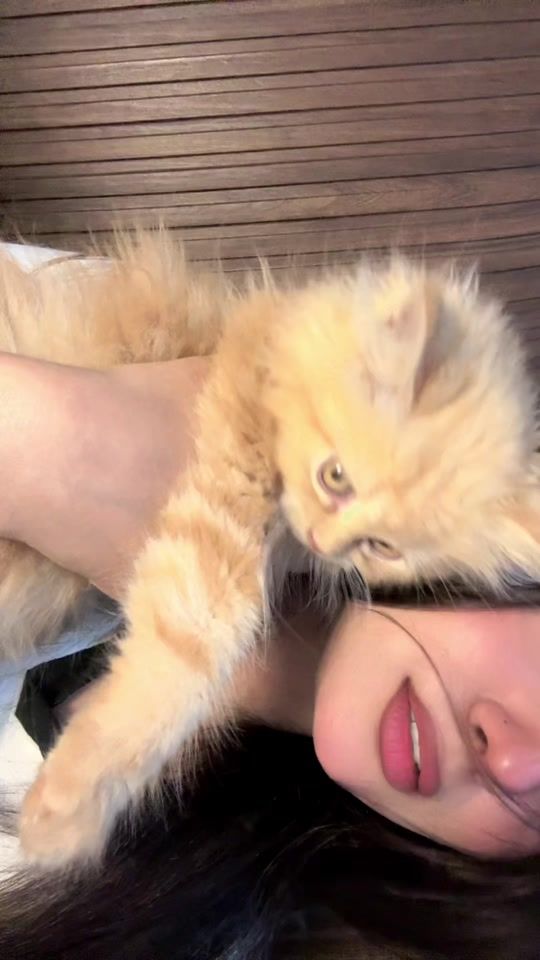 TikTok video thumbnail by duaafatima_._