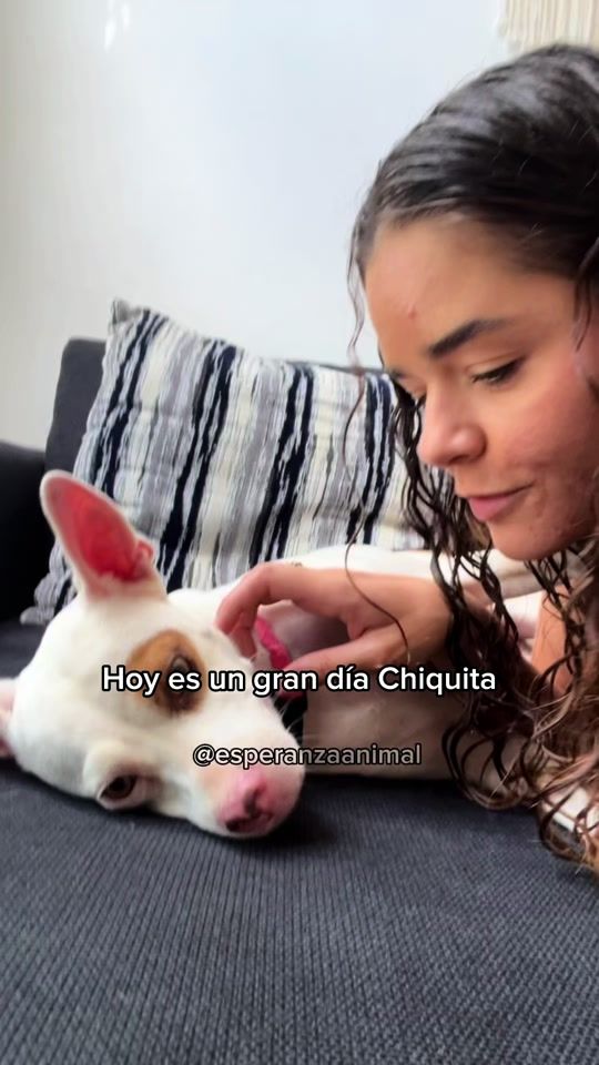 TikTok video thumbnail by esperanzaanimal