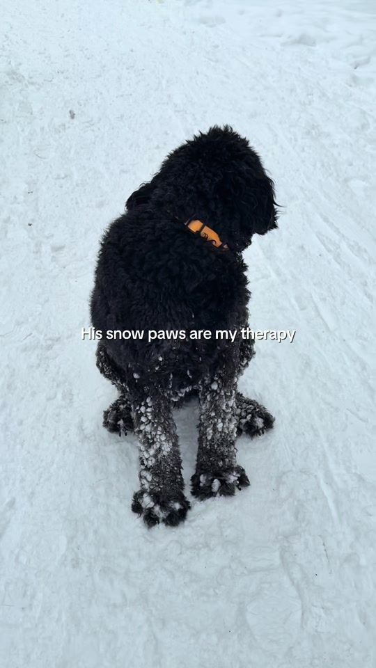 TikTok video thumbnail by murphs_up