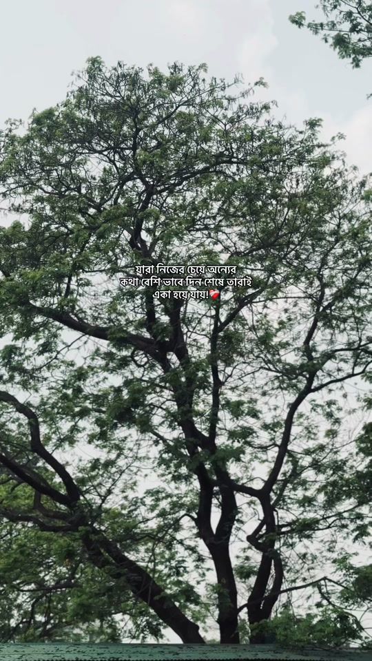 TikTok video thumbnail by abchaya_