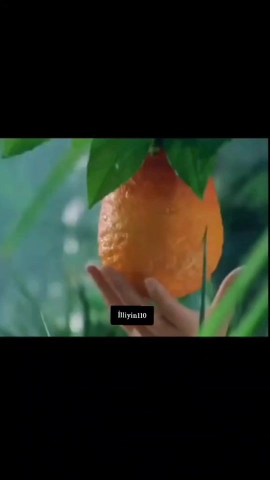 TikTok video thumbnail by illiyin110