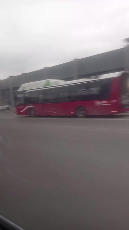 TikTok video thumbnail by hebubi2
