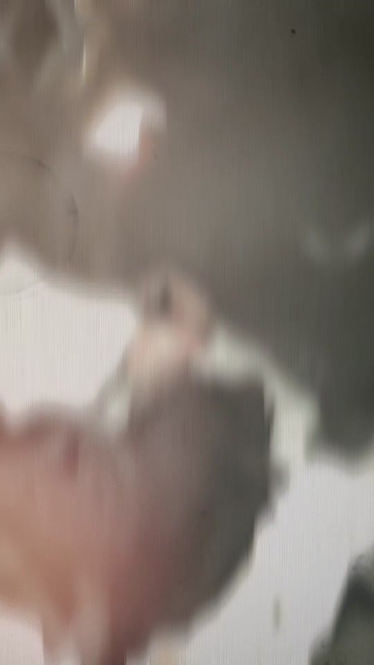 TikTok video thumbnail by soltan_adimo