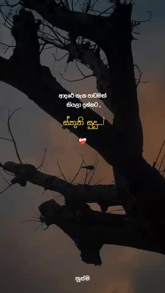 TikTok video thumbnail by husma___