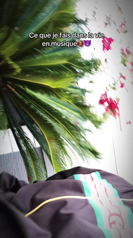 TikTok video thumbnail by swaggi_tekila