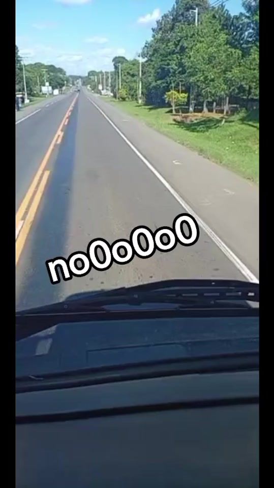 TikTok video thumbnail by jaimevargas0167