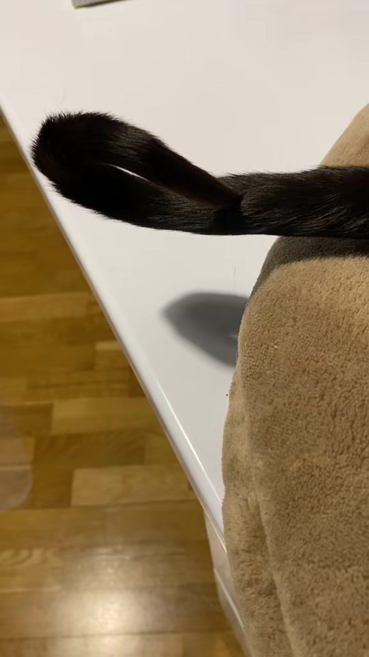 TikTok video thumbnail by jalikova
