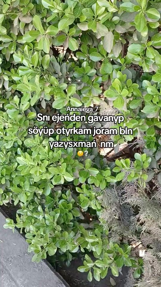 TikTok video thumbnail by annaeva_9