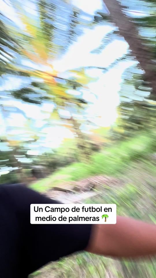 TikTok video thumbnail by el_percho5