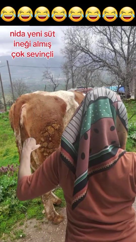 TikTok video thumbnail by 81_81neco