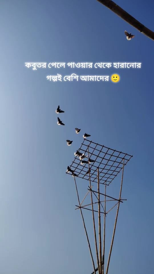 TikTok video thumbnail by md_sohan155