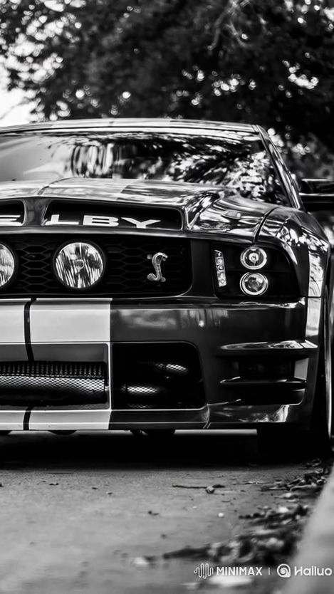 TikTok video thumbnail by mustang.muscle.usa