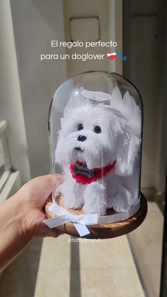 TikTok video thumbnail by toffy.brand