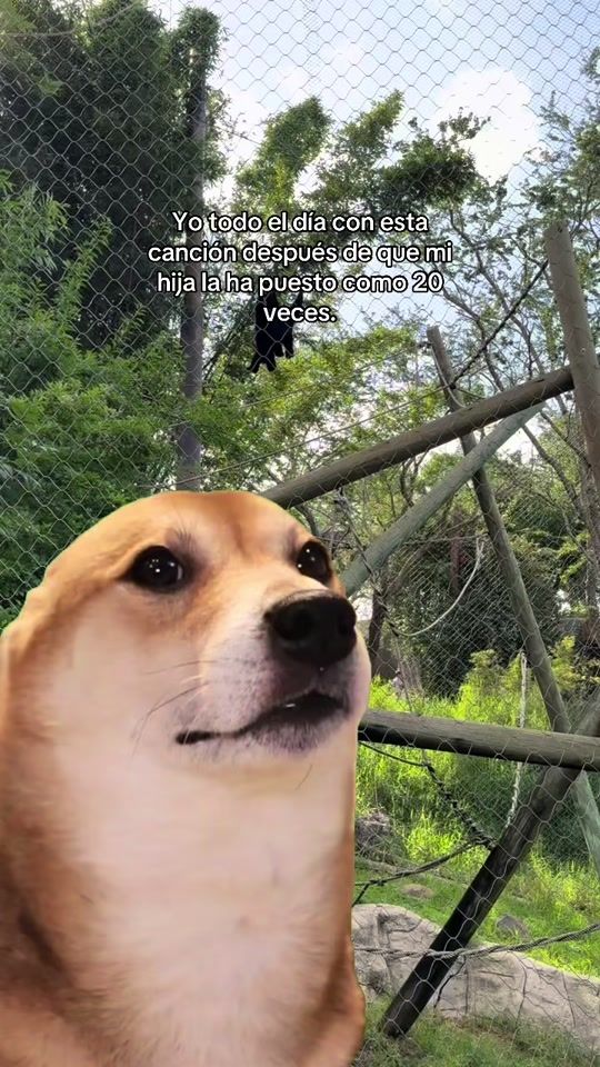 TikTok video thumbnail by yaremv3