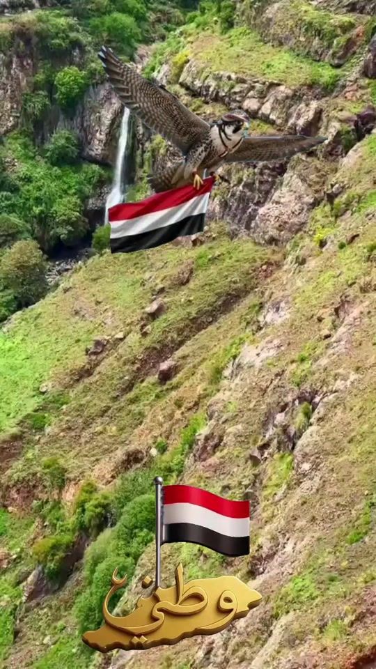 TikTok video thumbnail by user2006241851225
