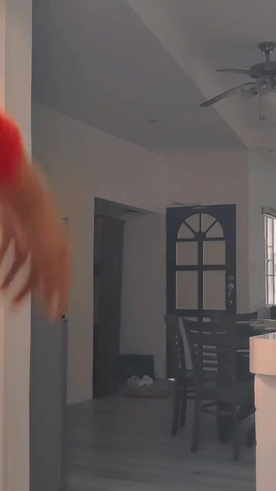 TikTok video thumbnail by johncrisc0rpuz