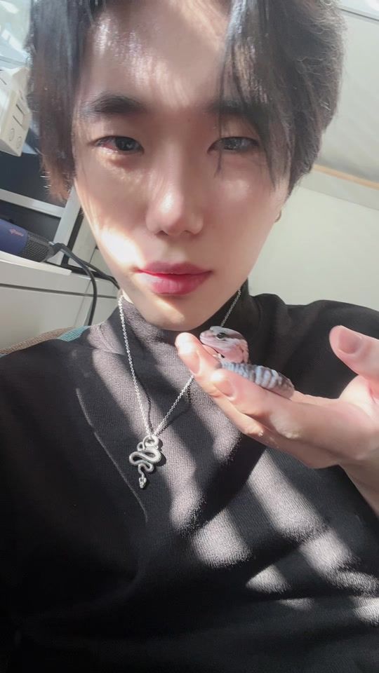TikTok video thumbnail by sansun013