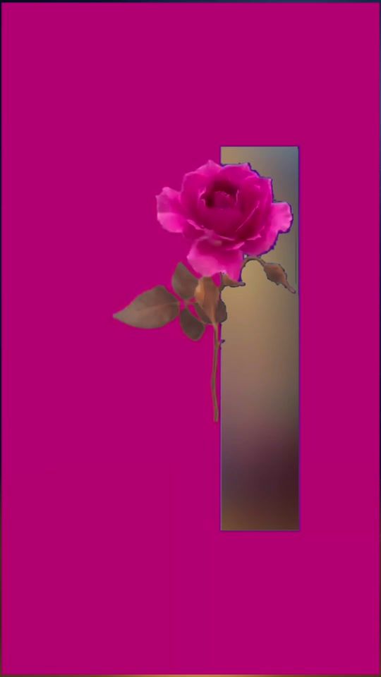 TikTok video thumbnail by ramaniramani66