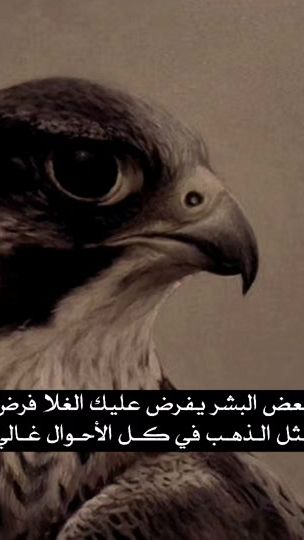 TikTok video thumbnail by 1abu_yazan