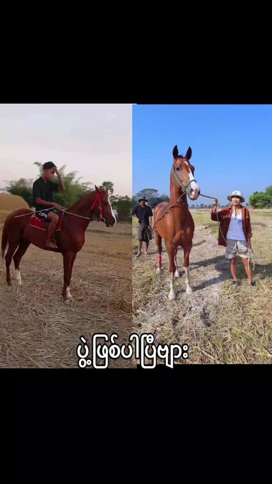 TikTok video thumbnail by sai.lay2669