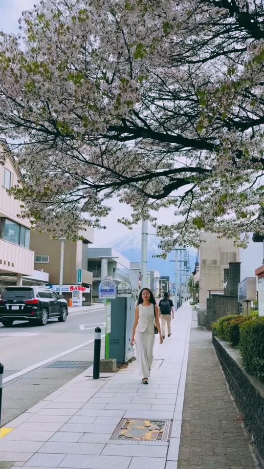 TikTok video thumbnail by kehsorn1