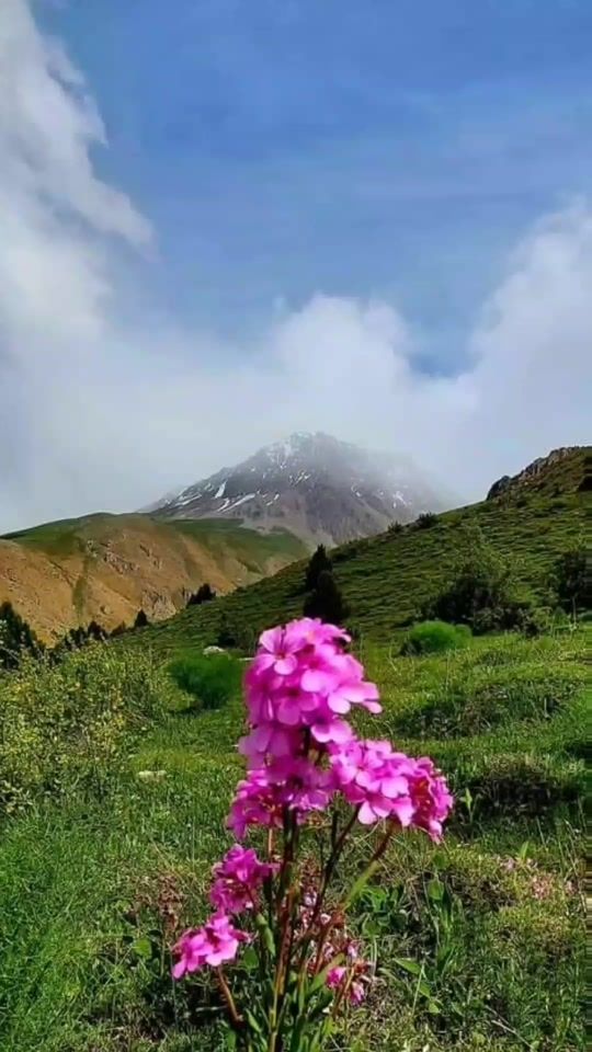 TikTok video thumbnail by samekalkahtany